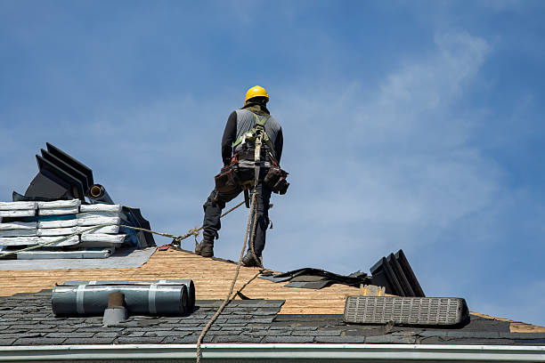 Professional Roof Installation technician working in Farina, IL
